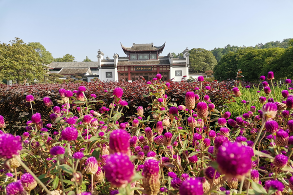鍥劇墖9_鍓湰.png